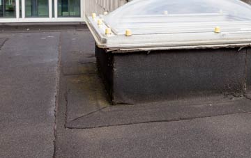 disadvantages of Hewas Water flat roofs