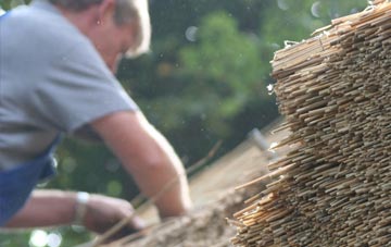 professional Hewas Water thatchers